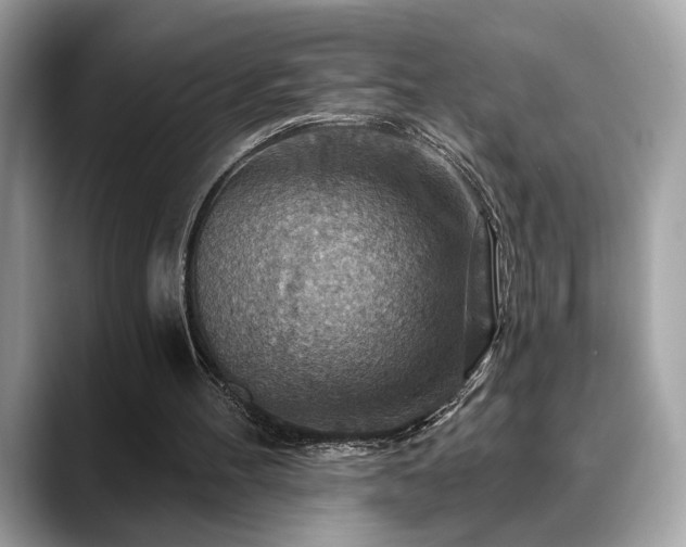 X0000088750100200705311519