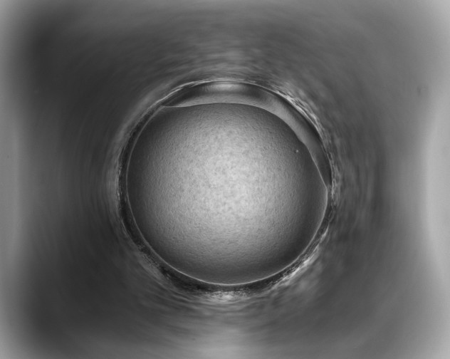 X0000088750101200705311519