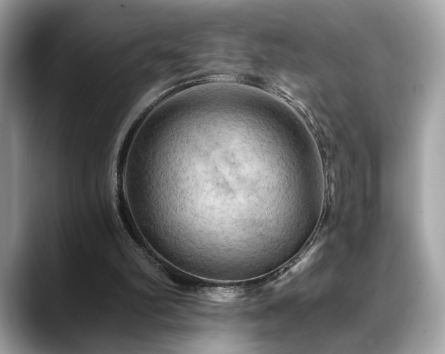X0000088750102200705311519