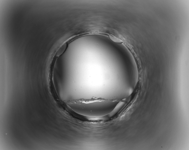 X0000088750103200705311519