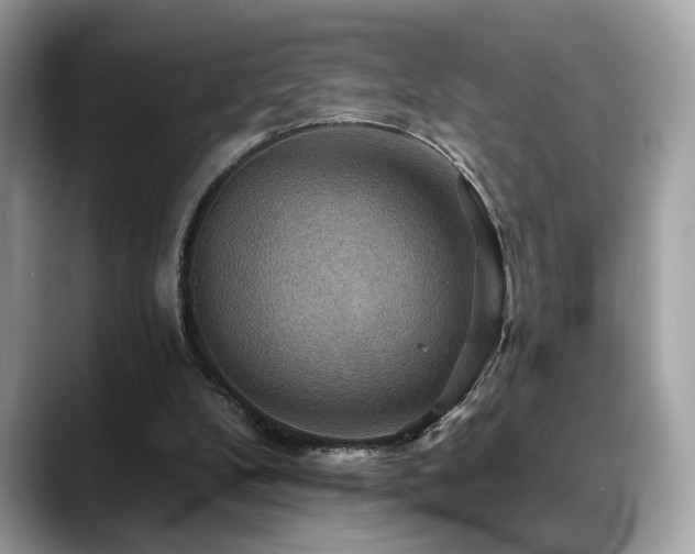 X0000088750104200705311519