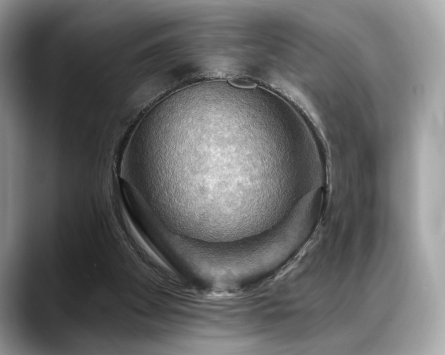 X0000088750105200705311519