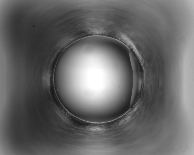 X0000088750106200705311519