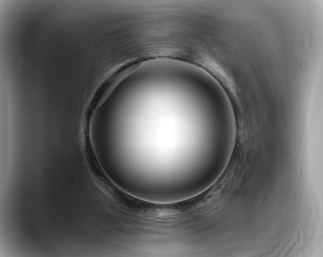 X0000088750107200705311519