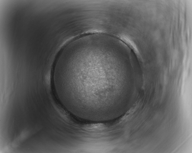 X0000088750108200705311519