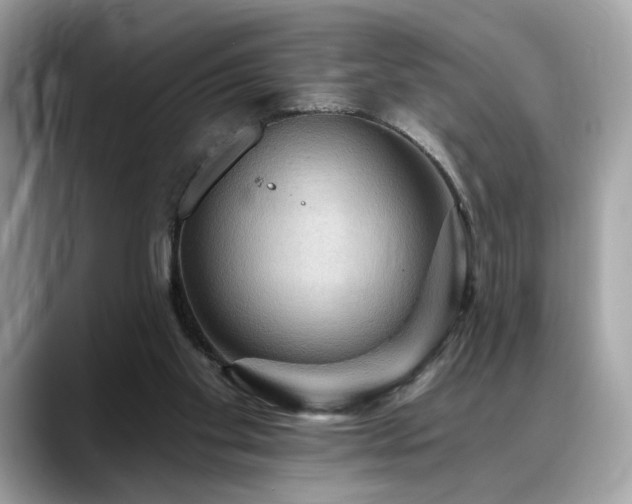 X0000088750109200705311519