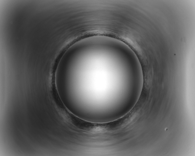 X0000088750111200705311519