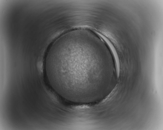 X0000088750112200705311519