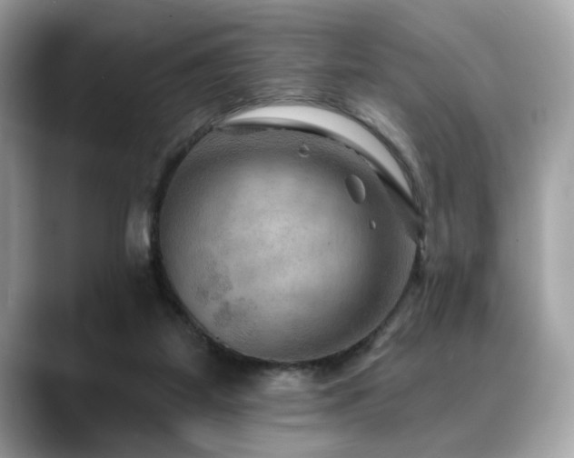 X0000088750115200705311519