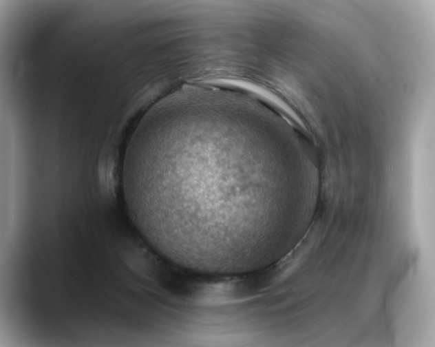 X0000088750116200705311519