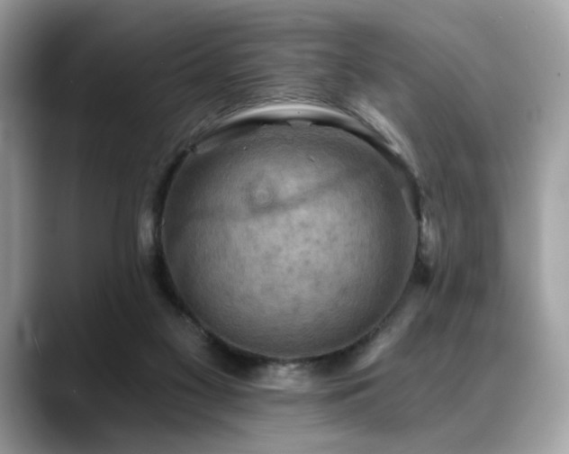 X0000088750117200705311519