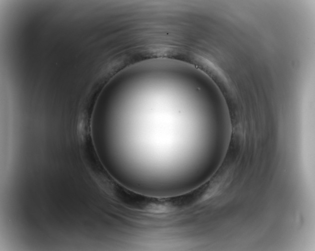 X0000088750119200705311519