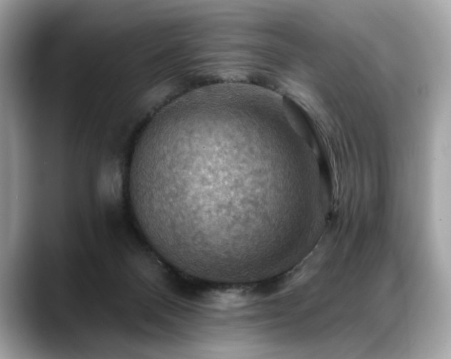 X0000088750120200705311519