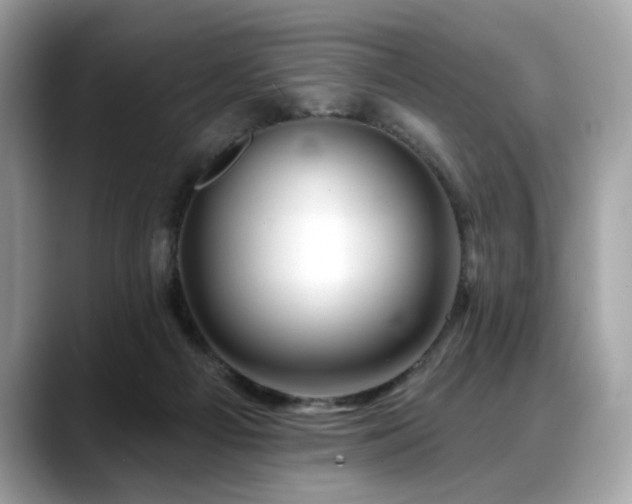 X0000088750121200705311519