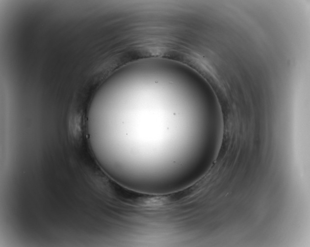 X0000088750122200705311519