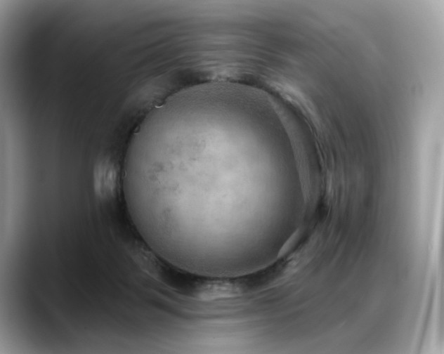 X0000088750123200705311519