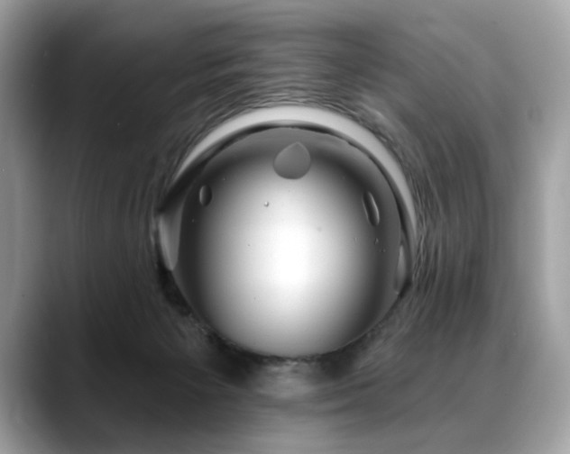 X0000088750125200705311519