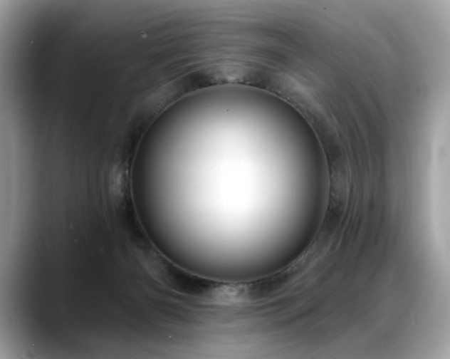 X0000088750126200705311519