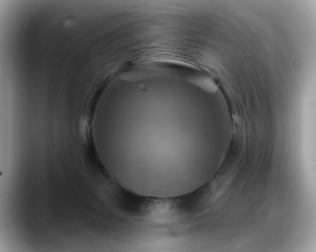 X0000088750127200705311519