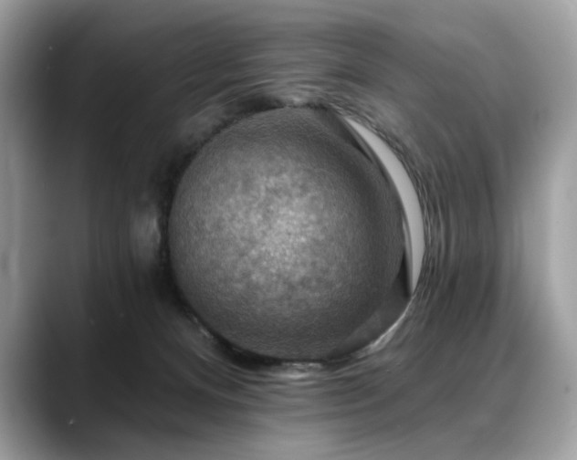 X0000088750128200705311519