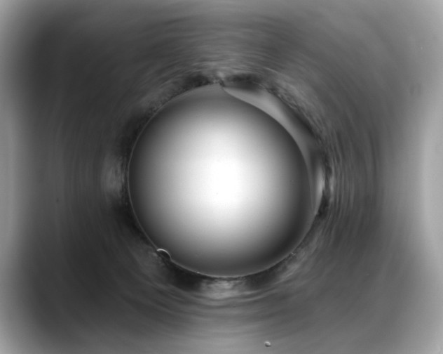 X0000088750129200705311519
