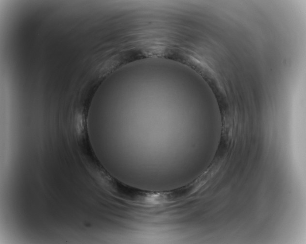 X0000088750130200705311519