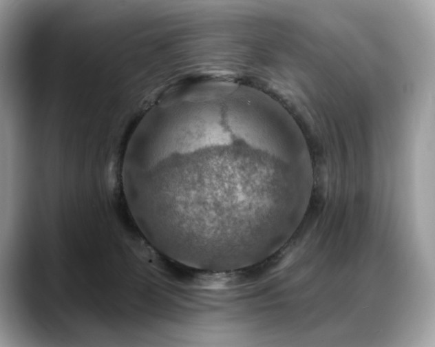 X0000088750131200705311519
