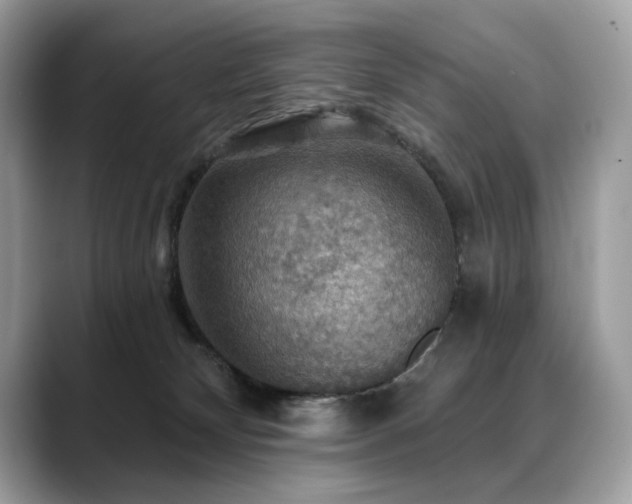 X0000088750132200705311519