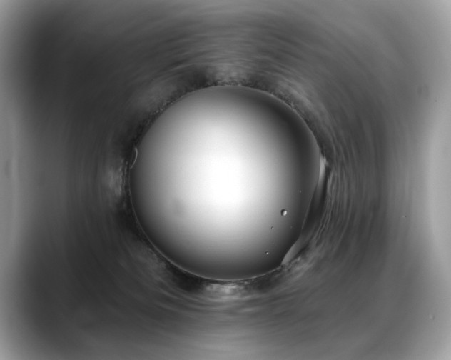 X0000088750133200705311519