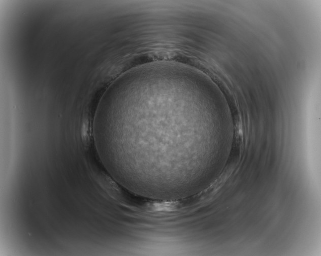 X0000088750134200705311519