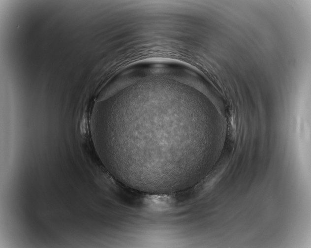 X0000088750137200705311519