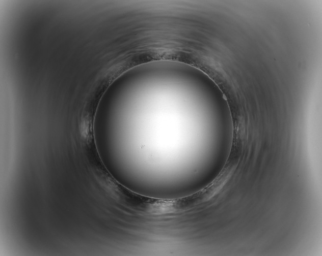 X0000088750138200705311519