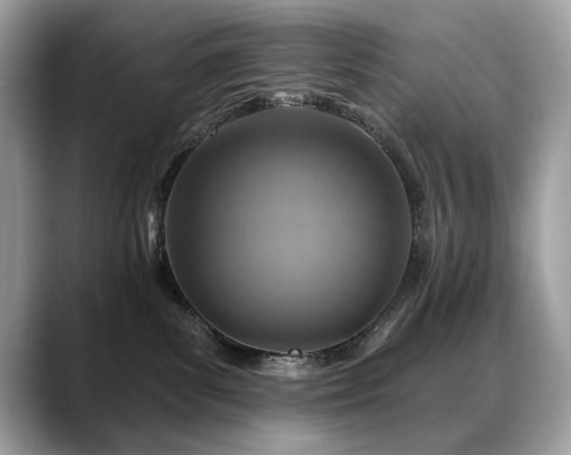 X0000088750139200705311519