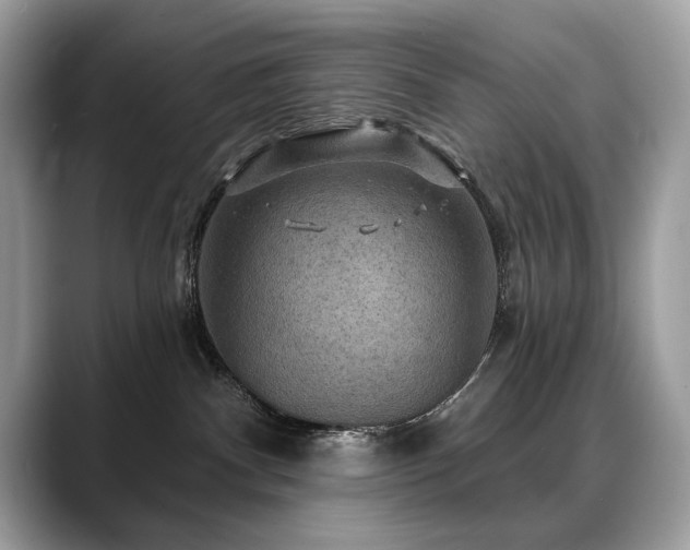 X0000088750140200705311519