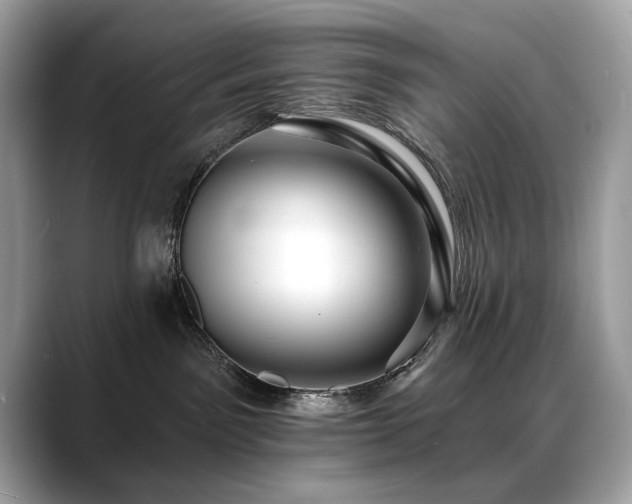 X0000088750141200705311519
