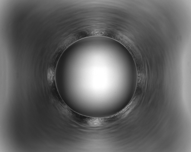 X0000088750142200705311519