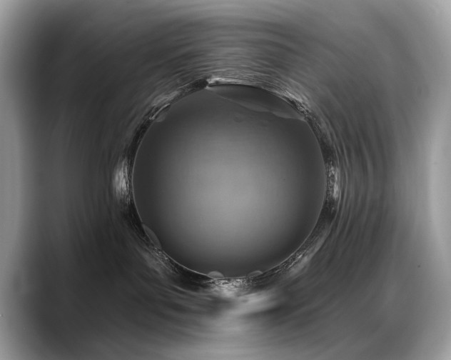 X0000088750143200705311519