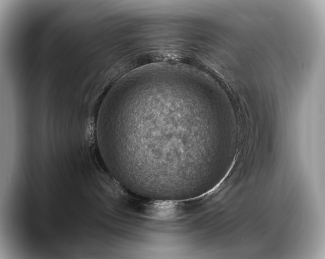 X0000088750144200705311519