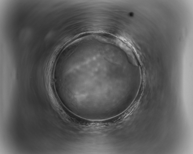 X0000088750145200705311518