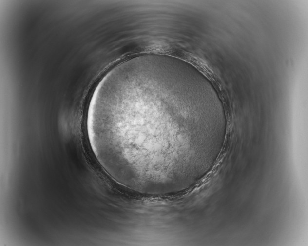 X0000088750146200705311518