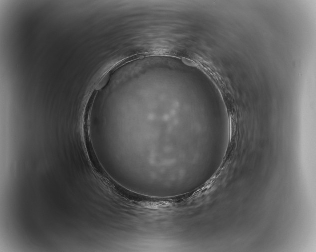 X0000088750147200705311518
