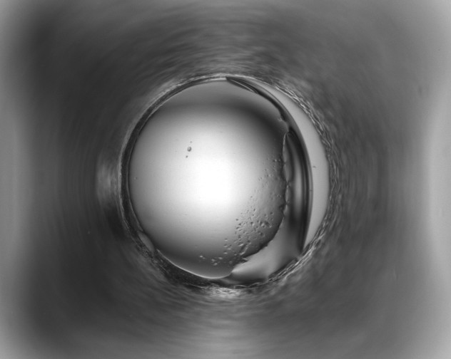 X0000088750148200705311518