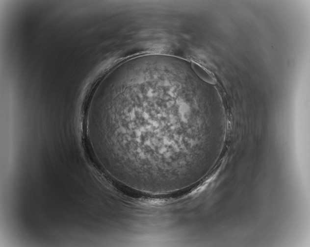 X0000088750149200705311518