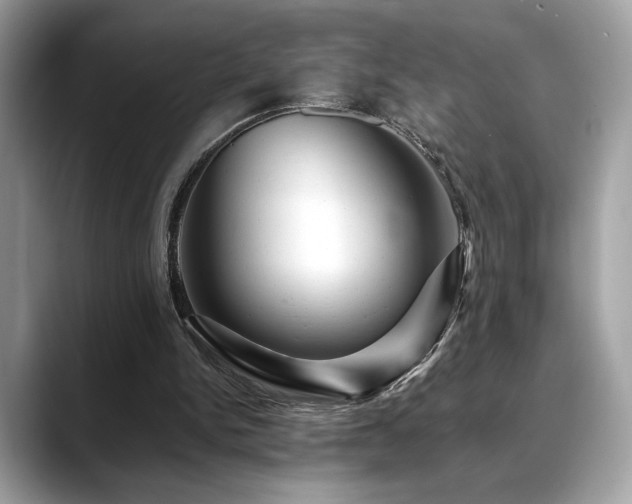 X0000088750150200705311518