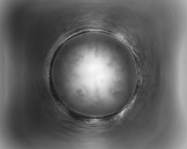 X0000088750151200705311518