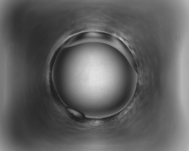 X0000088750152200705311518
