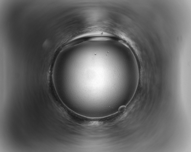X0000088750153200705311518