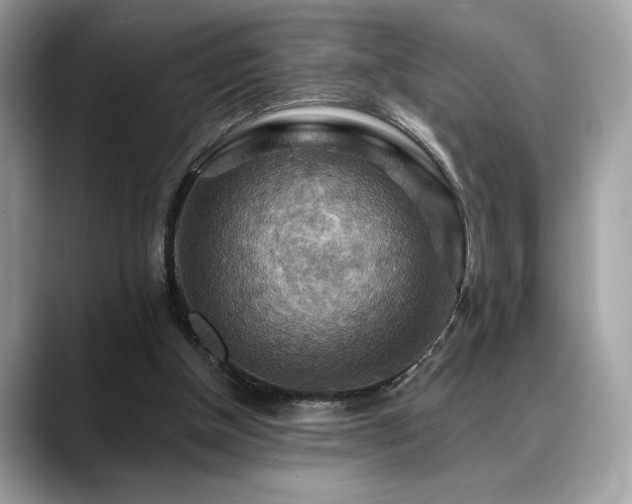 X0000088750154200705311518