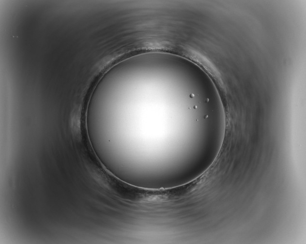 X0000088750155200705311518