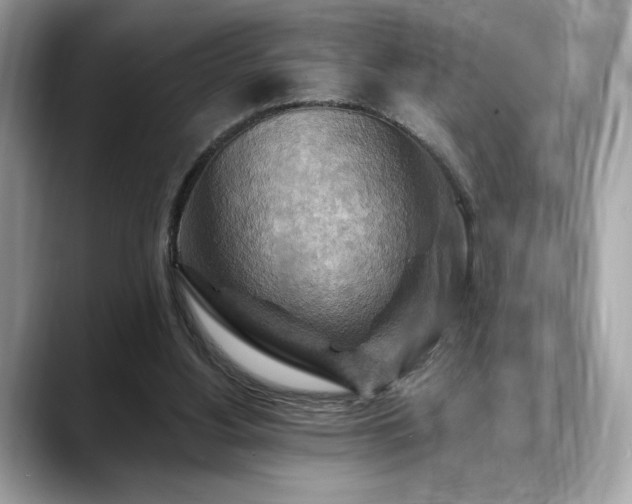 X0000088750156200705311518